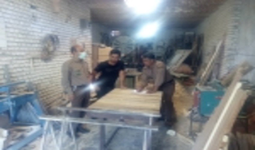 قاچاق چوب در شهرستان خلیل آباد خراسان رضوی به صفر رسید