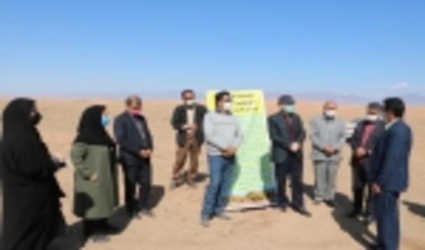 افتتاح طرح ۲۵۰ هکتاری بیابان زدایی در شهرستان کاشمر