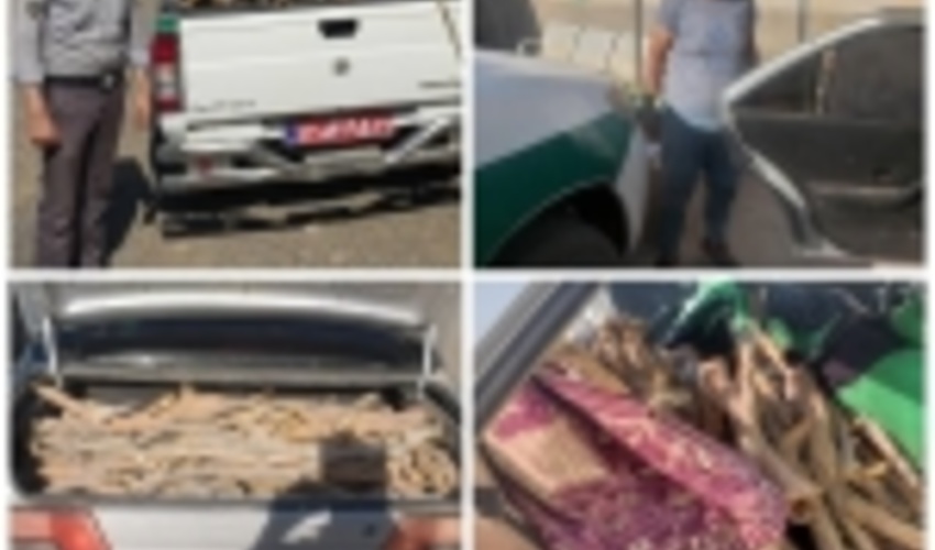 سه دستگاه خودرو حامل چوب غیر مجاز در شهرستان سبزوار توقیف گردید