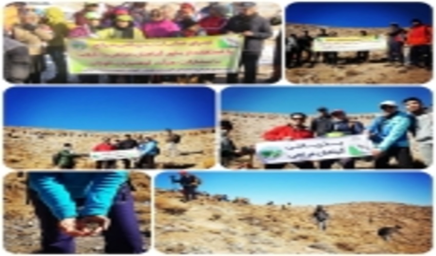 بذرپاشی 50 هکتار اراضی مرتعی با بذور گیاهان دارویی در شهرستان قوچان 