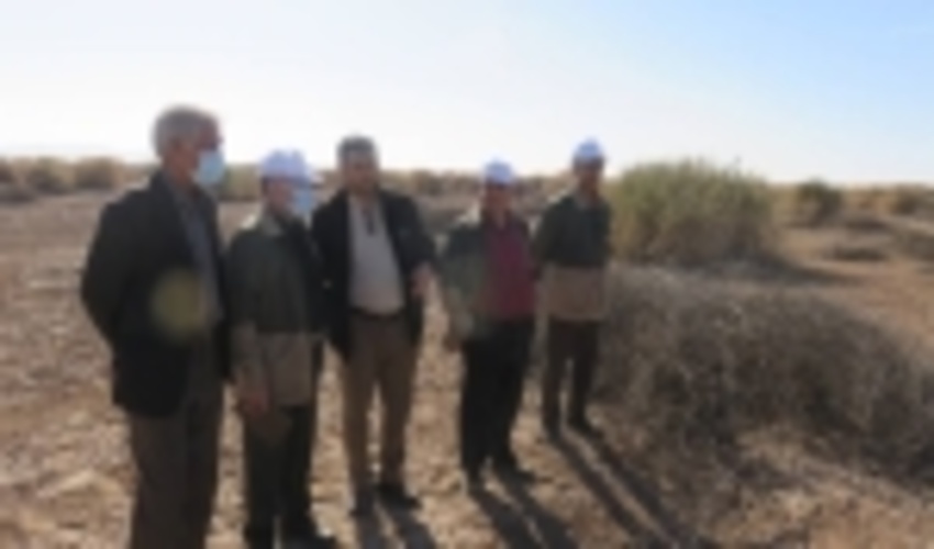 بازدید مدیر کل دفتر استعداد یابی سازمان جنگلها، مراتع و آبخیزداری کشور از پروژه های مشارکت مردمی احیای کویر در شهرستان بجستان 