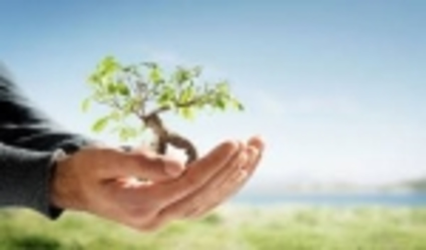 تعاونی فراگیر کشاورزی و منابع طبیعی همیاران شهرستان خوشاب عضو می پذیرد 