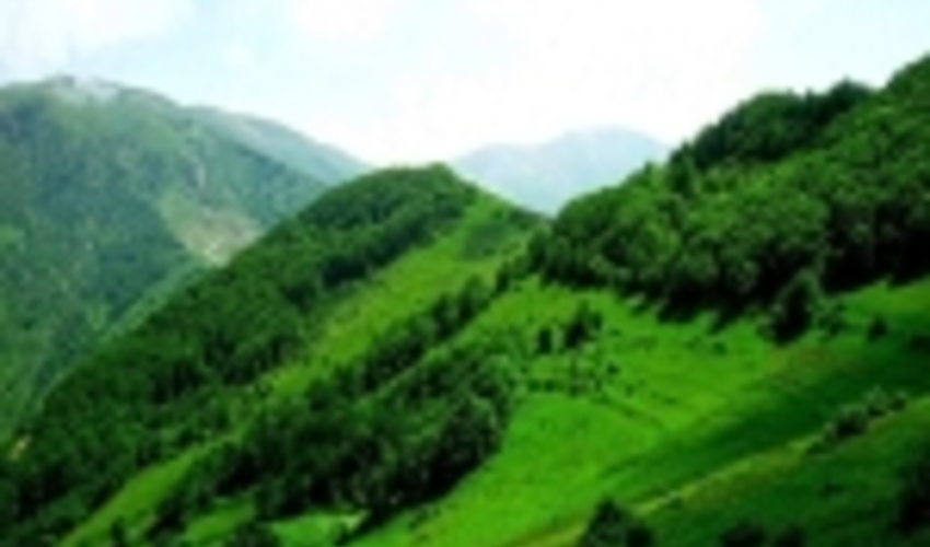 احیاء منابع طبیعی تجدید شونده عزم ملی می طلبد 