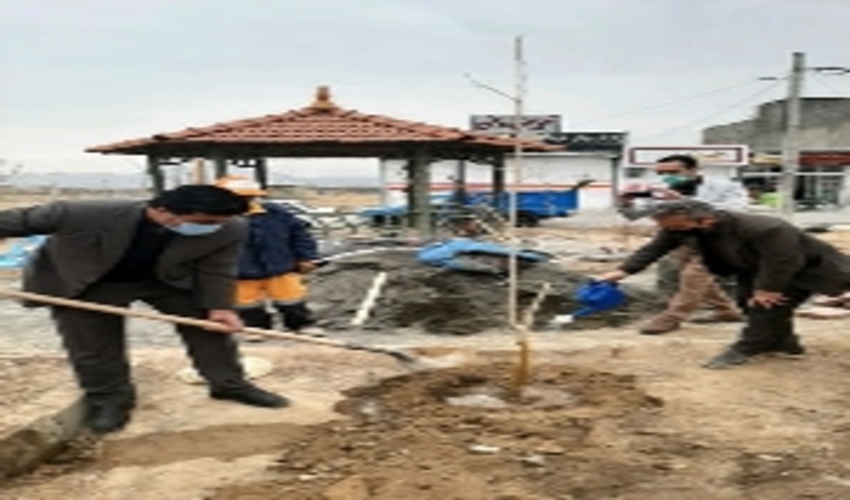 آئین روز درختکاری در شهر‌های خراسان رضوی