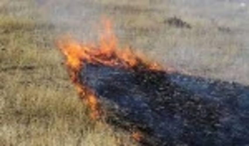 عرصه های منابع طبیعی و آبخیزداری شهرستان زبرخان  بدون حریق