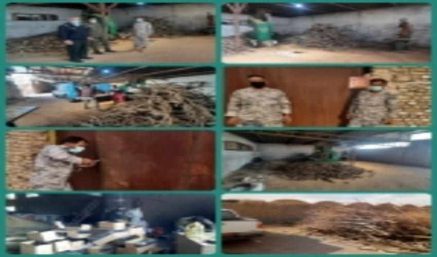 کشف و پلمپ انبار بزرگ درخت تاغ در شهرستان نیشابور