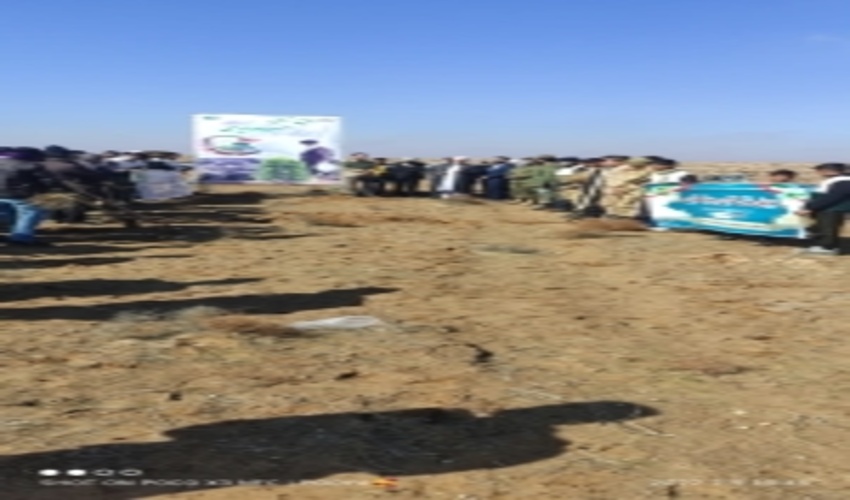 تربت جام-غرس 10هزار اصله نهال در برپایی پویش نهالکاری تربت جام