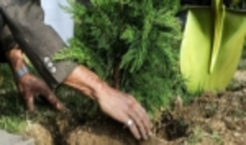 توزیع 1/5 میلیون اصله نهال در هفته منابع طبیعی ( 15 -21 اسفند) خراسان رضوی 