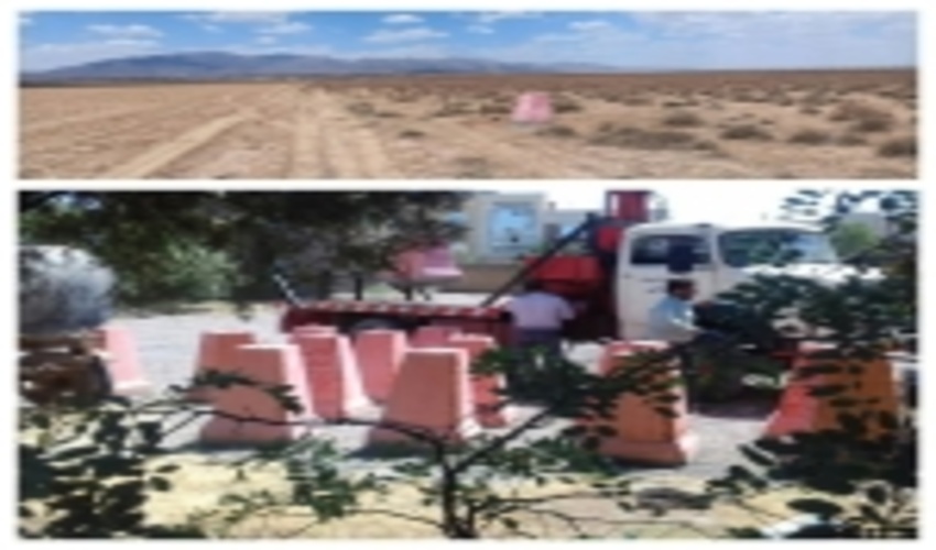 بهره برداری از کمربند حفاظتی بطول 8/5 کیلومتر در اراضی شهرستان تربت جام 