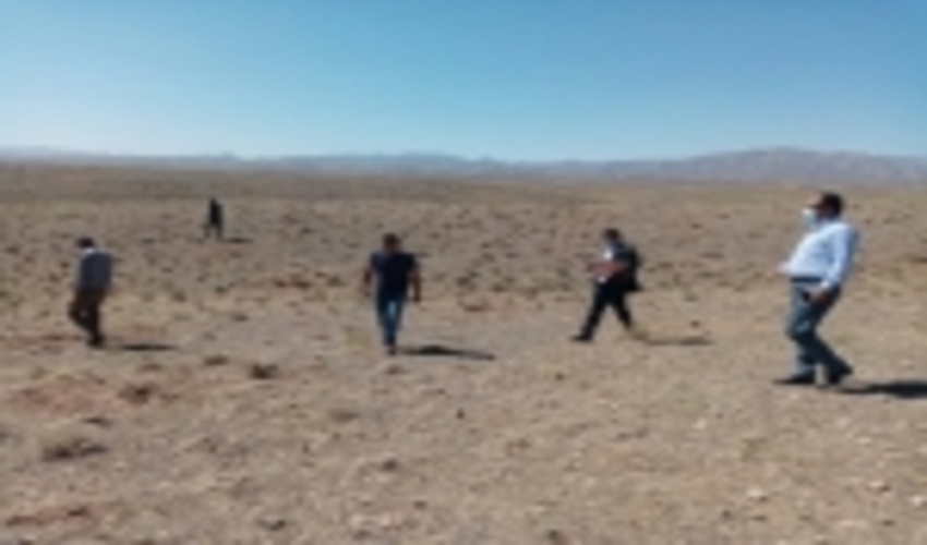 63 هکتار از اراضی مرتعی شهرستان جوین بوته کاری شد