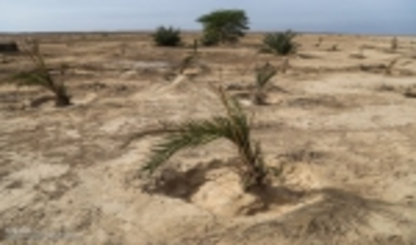 برنامه های هفته منابع طبیعی و آبخیزداری شهرستان گناباد تشریح شد