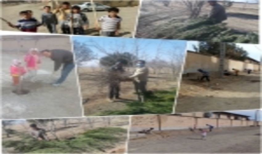 روزانه در شهرستان چناران بیش از 700 اصله نهال بین مردم توزیع می شود