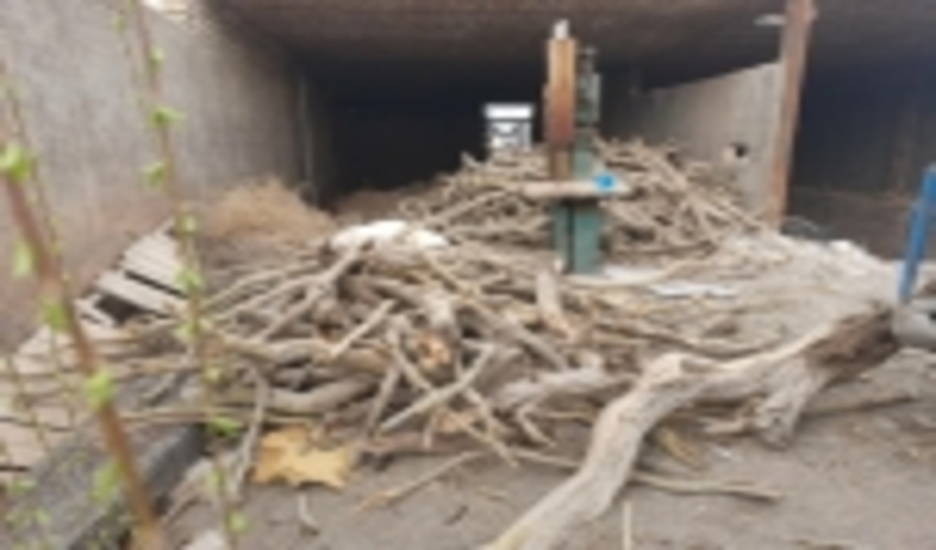 انبار مقطوعات غیر مجاز تاغ در جاده باغرود نیشابور پلمپ شد