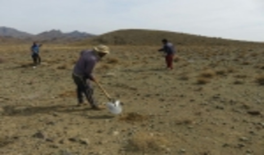 فعالیت های مرتع و بیابان اداره منابع طبیعی و آبخیزداری شهرستان خلیل آباد تشریح شد