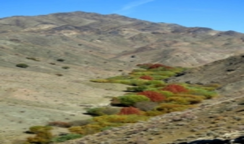 توسعه گردشگری در شهرستان بردسکن رهیافتی برای حفظ و حراست از منابع طبیعی تجدید شونده