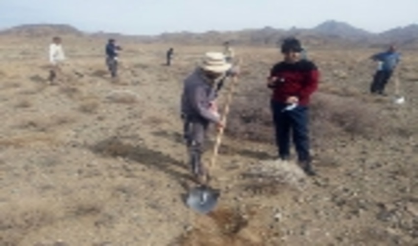 205 هکتار از اراضی شهرستان خلیل آباد بذرکاری و کپه کاری شد