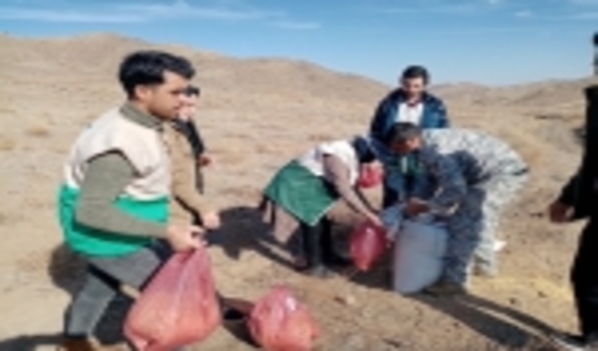 جوین - 100 هکتار اراضی مرتعی شهرستان جوین همزمان با پویش ملی نهالکاری ، بذر پاشی شد