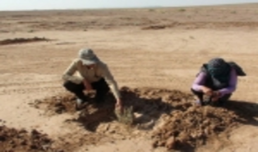 عملیات بیابان زدایی در سطح بیش از 24000 هکتار از اراضی بیابانی شهرستان مه ولات