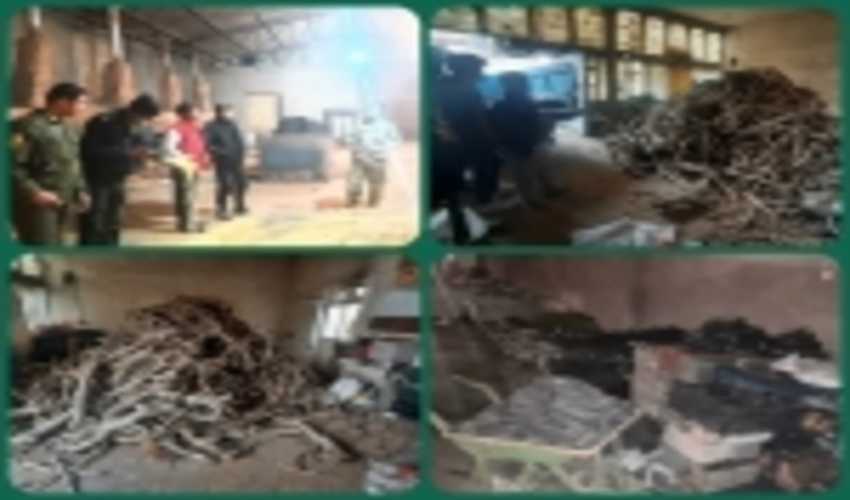 حمایت مراجع قضایی از تشدید نظارتها و برخورد با تولید ذغال غیر مجاز در شهرستان نیشابور