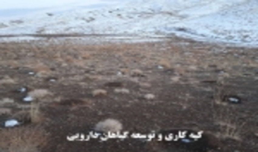 100 هکتار از اراضی مرتعی شهرستان خوشاب کپه کاری و بذرپاشی شد 