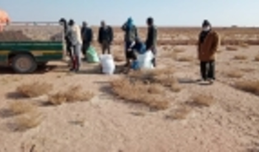 کاشت نهال در کانون‌ بحرانی فرسایش بادی گناباد(باشگاه خبرنگاران جوان)