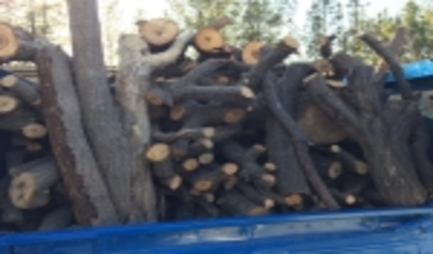 امضاء تفاهم نامه همکاری های مشترک نیروی انتظامی و منابع طبیعی و آبخیزداری در شهرستان خواف