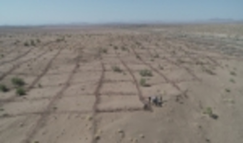 بادشکن غیرزنده با تکیه بر دانش بومی جایگزین مناسبی برای مالچ