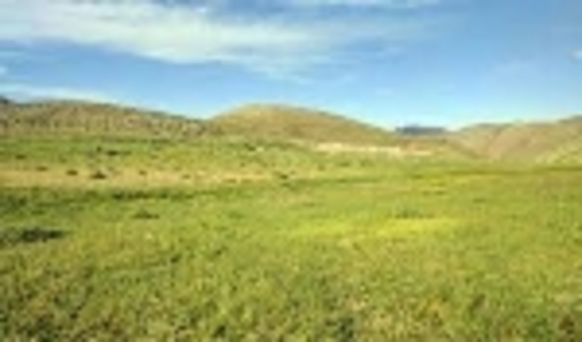 ممیزی بیش از 355 هزار هکتار  از مراتع شهرستان سبزوار