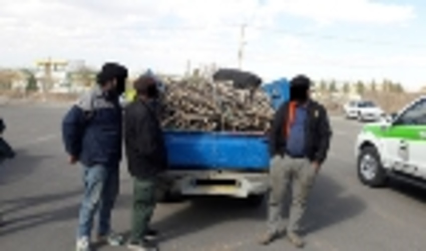 دست عاملین قطع درختچه های ممنوع القطع تاغ در گناباد رو شد(صداوسیما، ایلنا، ایسنا، برنا ) 