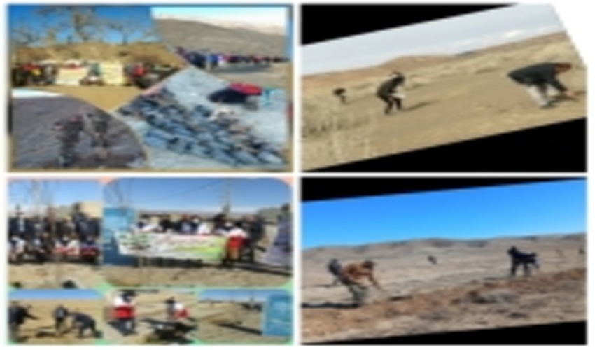 اداره کل-بیش از هزار هکتار از عرصه های منابع طبیعی خراسان رضوی نهالکاری ، بذرپاشی و بذرکاری شد