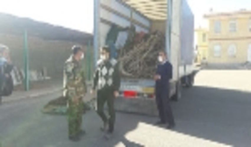 کشف و ضبط 2 تن چوب تاغ جنگلی در محور گناباد 