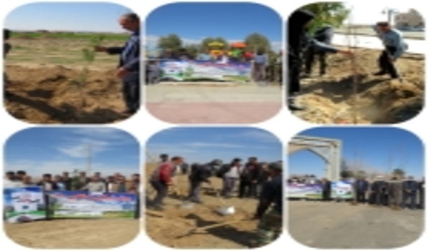 بردسکن-اجرای سه پویش نهالکاری و بذرکاری در طول یک هفته به همت دهیاری ها  و مشارکت مردم در شهرستان بردسکن 