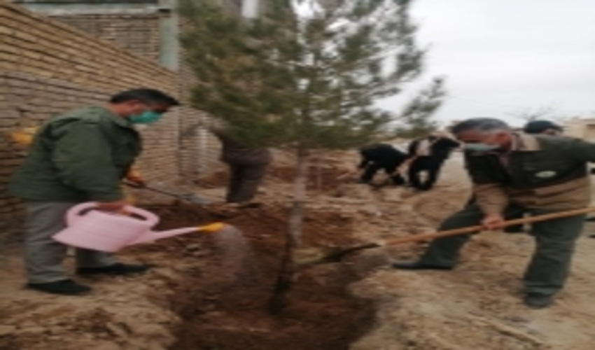 زاوه-مراسم روزدرختکاری