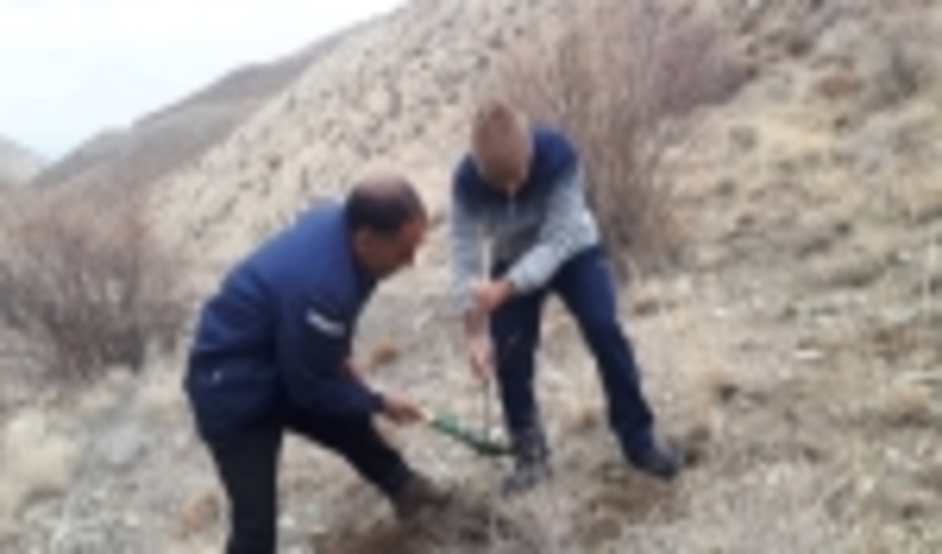 ششتمد-مراسم روزدرختکاری