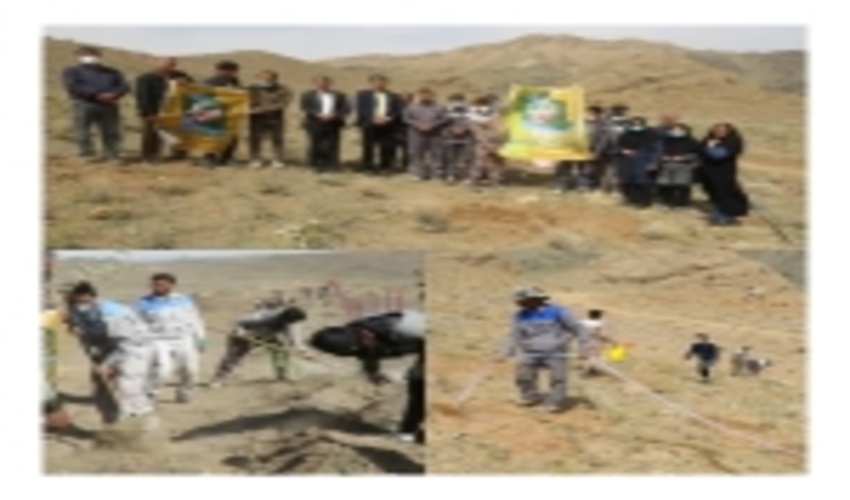 بردسکن-نهالکاری  40 هکتار از عرصه فعالیت های معدنی  با مشارکت معدنکاران در شهرستان  بردسکن 