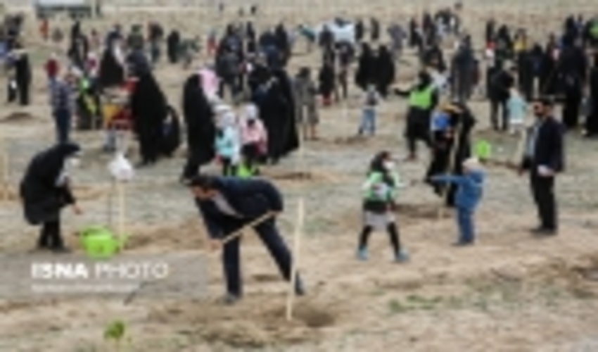 اداره کل-کاشت بیش از 750 هزار اصله نهال در خراسان رضوی