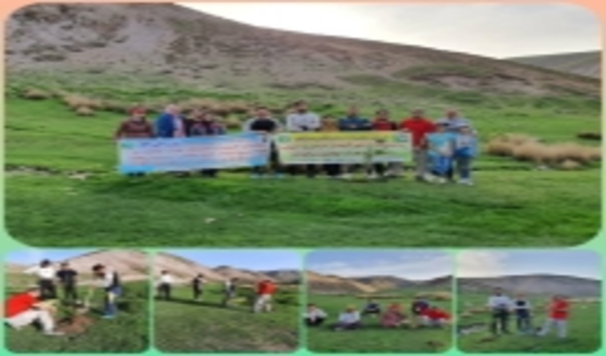 قوچان-بذر پاشی 150 هکتار از اراضی مرتعی شهرستان قوچان با گونه های دارویی و مرتعی