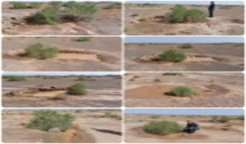 گناباد-اثربخشی چاله های آبگیر در ذخیره نزولات جوی طرح های نهالکاری شهرستان گناباد