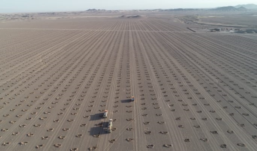 گناباد-احیای بیش از 60هزار هکتار اراضی بیابانی در شهرستان گناباد