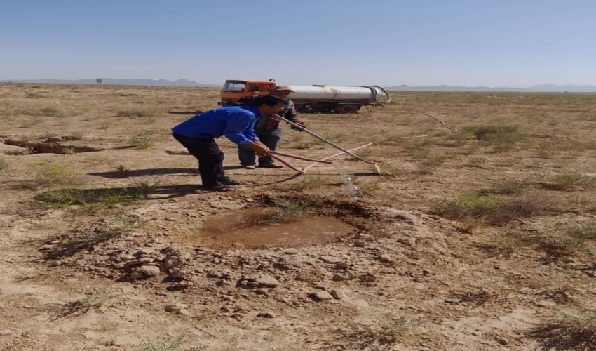 آغاز آبیاری پروژه بیابان زدایی( نهال کاری ) کانون بحران فرسایش بادی منطقه الله آباد تربت حیدریه