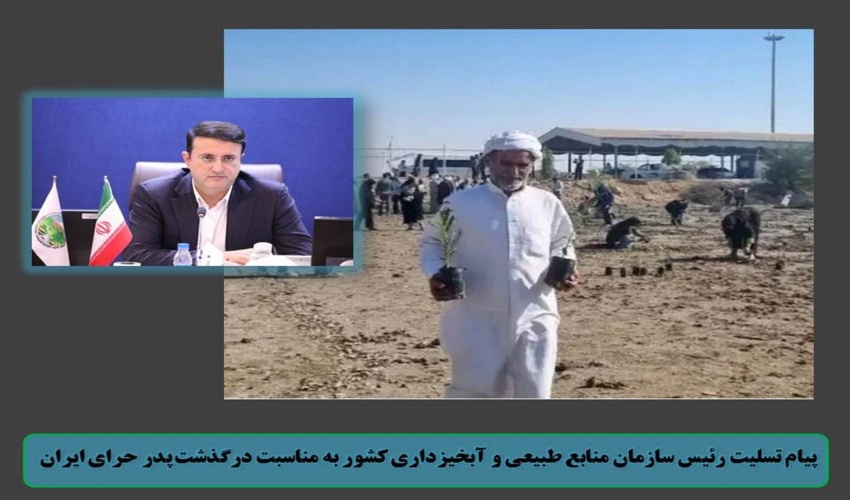 رؤسای سازمان جنگل‌ها و سازمان محیط زیست بر تقویت تعاملات در راستای توسعه پایدار تأکید کردند