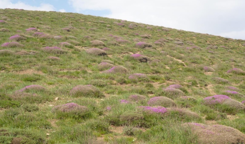 اثر بخشی پروژه های منابع‌طبیعی و آبخیزداری خراسان رضوی از زبان مردم