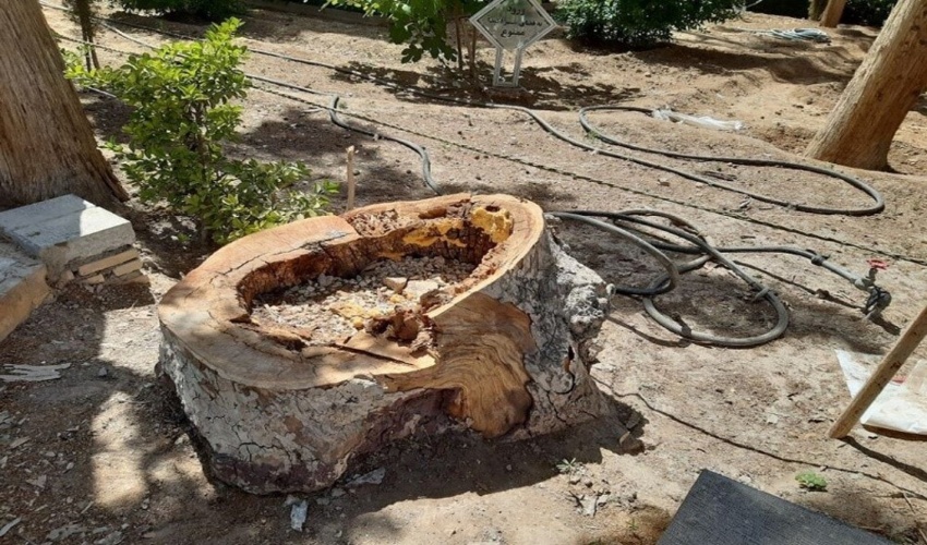 دیدار با امام جمعه شهرستان به مناسبت هفته منابع طبیعی