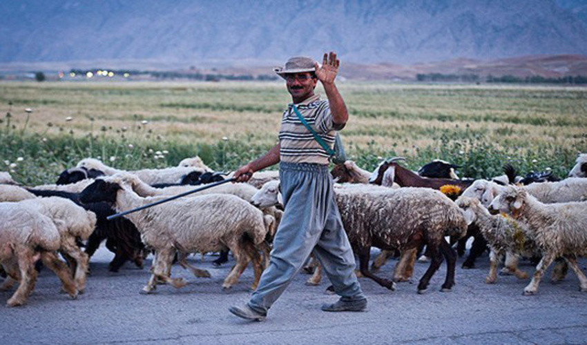 دومین جلسه هم اندیشی تشکیل سمن منابع طبیعی در شهرستان خوشاب برگزار شد 