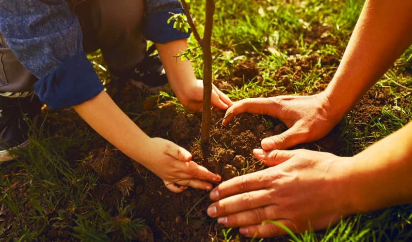 رییس سازمان جنگل ها، مراتع و آبخیزداری کشور از کاهش ۵ درصدی قاچاق چوب در ایران، خبر داد.