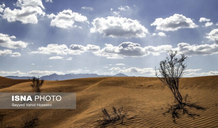 سفر به "مهد سماق ایران" / نقاشی طبیعی در طبیعت بکر خانیک گناباد (خبرگزاری تسنیم)