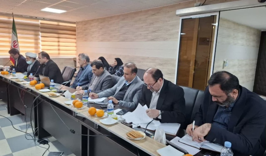 نهالکاری همگانی در گناباد برگزار شد 