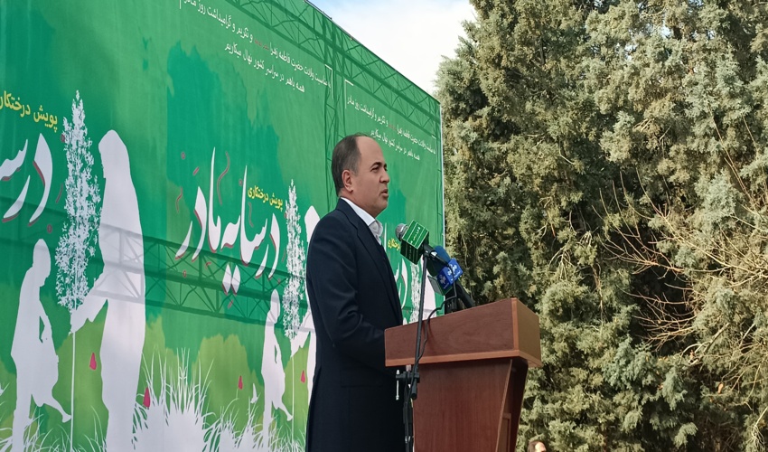 برداشت بیش از 11 تن گیاهان دارویی خودرو سالانه در سبزوار