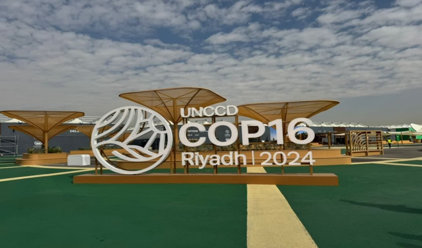 همکاری بسیج با سازمان جنگل‌ها برای حفاظت از جنگل‌های هیرکانی