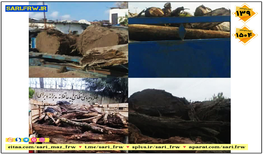 ۲۶۰ هکتار زمین در داورزن خراسان رضوی برای طرح‌های توسعه واگذار شد(ایرنا)